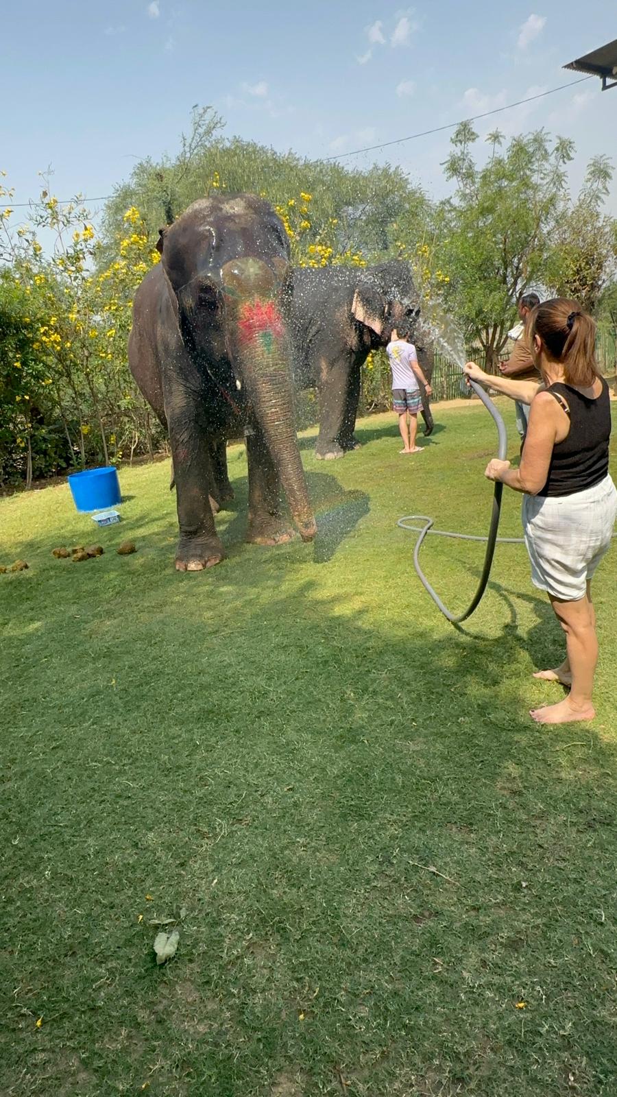 Tourist amazed by elephant
